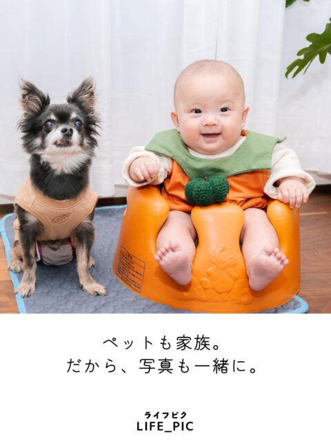 ペットさんと一緒の撮影も大歓迎です。
環境の変化に敏感だったり、移動が負担になったりと、ペットさんによっては撮影のハードルが高くなりがち。
出張撮影なら、安心の環境で撮影できます。

わんちゃん猫ちゃんはもちろん、鳥さんや爬虫類さん、何でも大歓迎。
生き物大好きカメラマンです😆

▫️出張 記念撮影 ５０枚（最低保証）
　平日　　　21,000円
　土日祝　　26,000円

気になったらぜひコメントください♪

…出張撮影LIFE_PIC（ライフピク）…
横浜エリアを中心に、ご自宅やお参り先などへ出張撮影に伺います。
ニューボーンフォトからお宮参り・七五三・入園入学・成人式など、ご家族のライフイベントに広く寄りそって撮影しています。
【「愛おしい」を写真に込めて】
人生の中でふと訪れる、「愛おしい」と思う瞬間。あっという間に過ぎてしまう、ご家族の「いま」という時間と想いを、写真というカタチで未来に残しませんか？
【記念日、がんばらなくて大丈夫！】
「頑張らなきゃいけない記念日」から「頑張らなくていい、楽しい記念日」へ。準備やお世話、記念の日の大変なあれこれが、少しでも軽くなるようにお手伝いができれば幸いです。

 #出張撮影横浜 
 #家族写真 
 #ペット 
 #ペット写真 
 #記念撮影