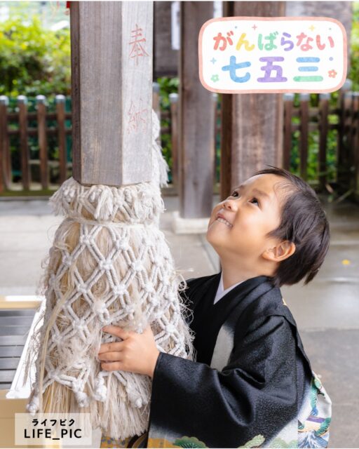 【横浜・七五三早撮りキャンペーン】

混み合う七五三シーズンより少し早めに、ゆったりとお参り・撮影をしませんか？
LIFE_PICでは、着物レンタル・ご自宅出張着付け・出張ロケ撮影がセットになった「七五三まるごとプラン」を、期間限定の早撮り価格でご案内します。
着物の準備から当日のお着付け、神社での撮影までまとめてお任せ！
「頑張らない七五三」で家族をもっと笑顔に⭐︎
■早撮りキャンペーン価格
・3歳（被布）
　平日29,000円／土日祝34,000円
・5歳（羽織袴）
　平日31,000円／土日祝36,000円
・7歳
　平日37,000円／土日祝42,000円

撮影は約1時間、90枚以上のお写真をデータでお渡し。ご家族・ごきょうだいとの撮影も追加料金はかかりません。

【お申込み期限】
2026年9月30日まで

【キャンペーン対象撮影日】
2026年10月16日まで

※空き状況により、期間内でも受付を終了する場合があります

横浜市を中心に、神社やご希望の場所へ出張いたします。
ご不安やお祝いのご相談、どうぞお気軽にご相談ください🌱＃出張撮影横浜＃七五三＃出張着付け＃着物レンタル＃横浜ママ